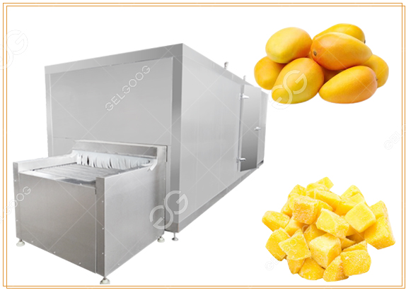 mango freezing machine