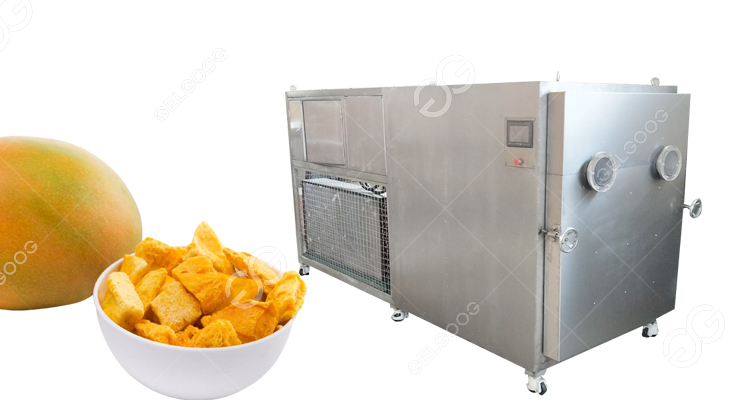 Máquina de secado por congelación al vacío de frutas