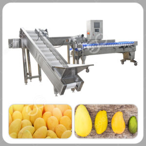 máquina clasificación de mango