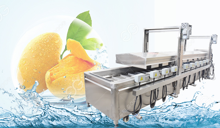 máquina de tratamiento de agua caliente de mango
