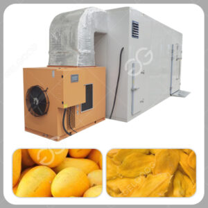 máquina para el secado mango