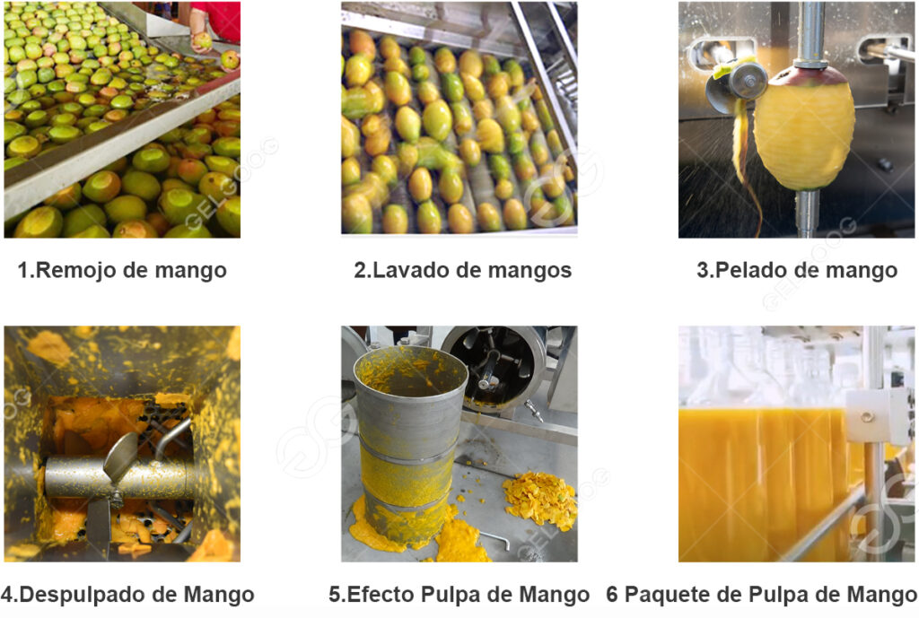 Planta De Maquinaria De Procesamiento De Pulpa De Fruta De Mango Industrial 1741