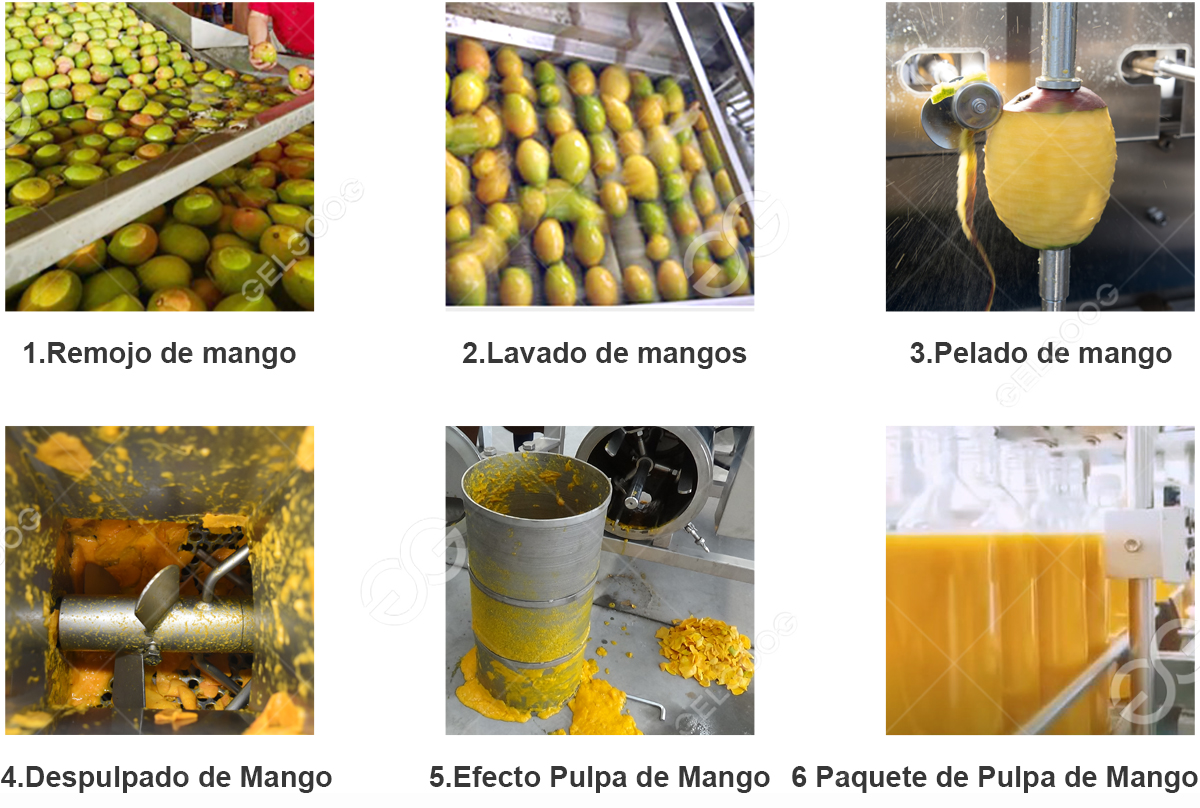 maquinaria de procesamiento de pulpa de mango