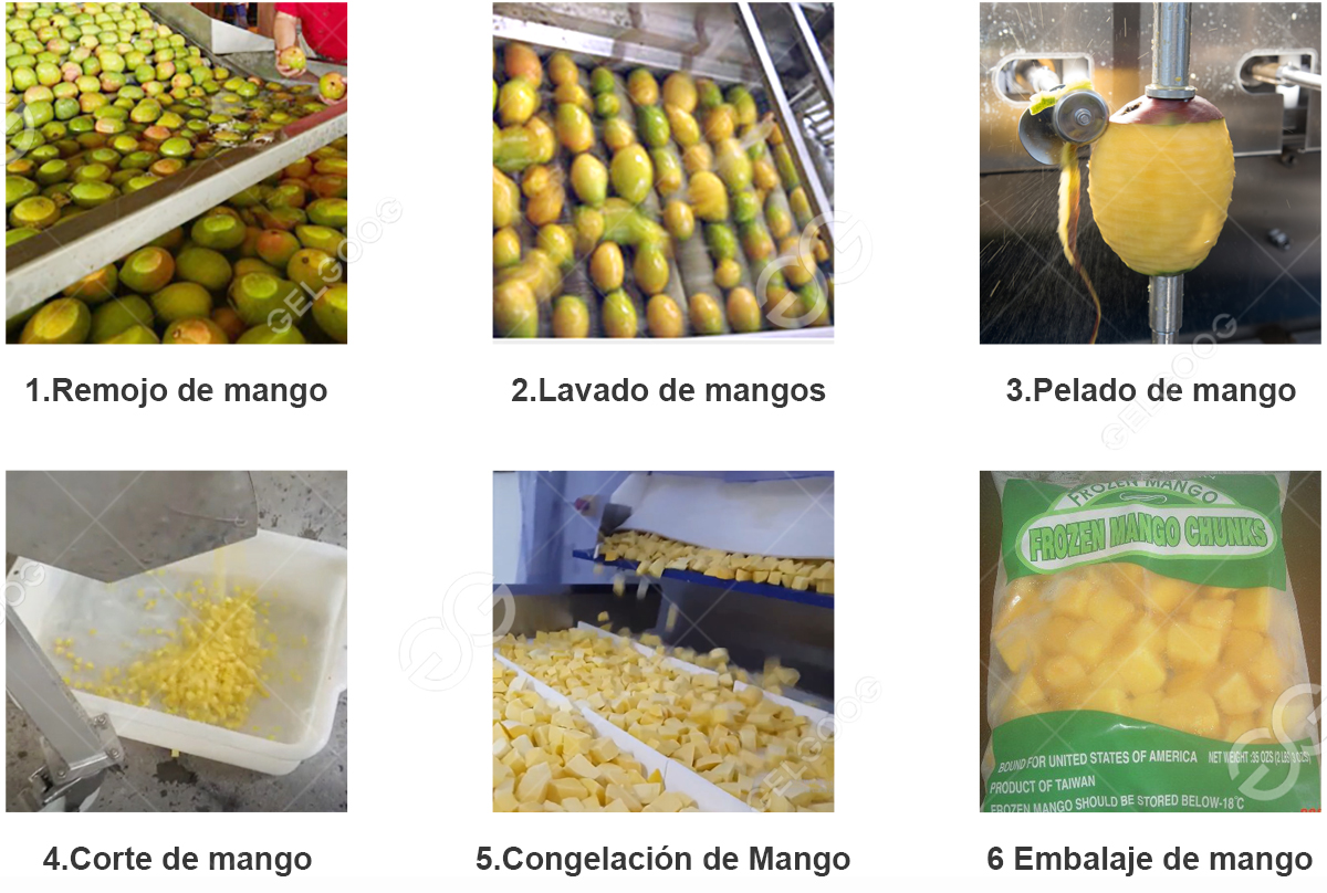 línea de procesamiento de mango congelado