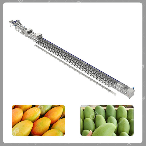 sistema de clasificación de mangos sistema de clasificación de mangos